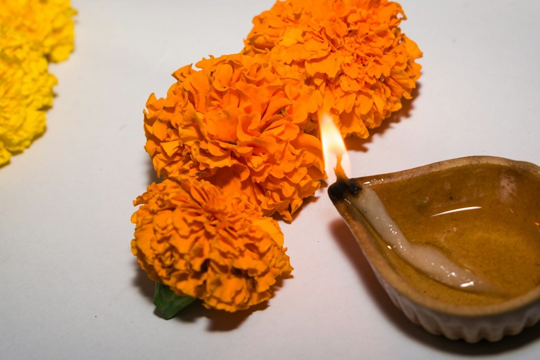 Diwali diya and flowers image for heartfelt festive greetings