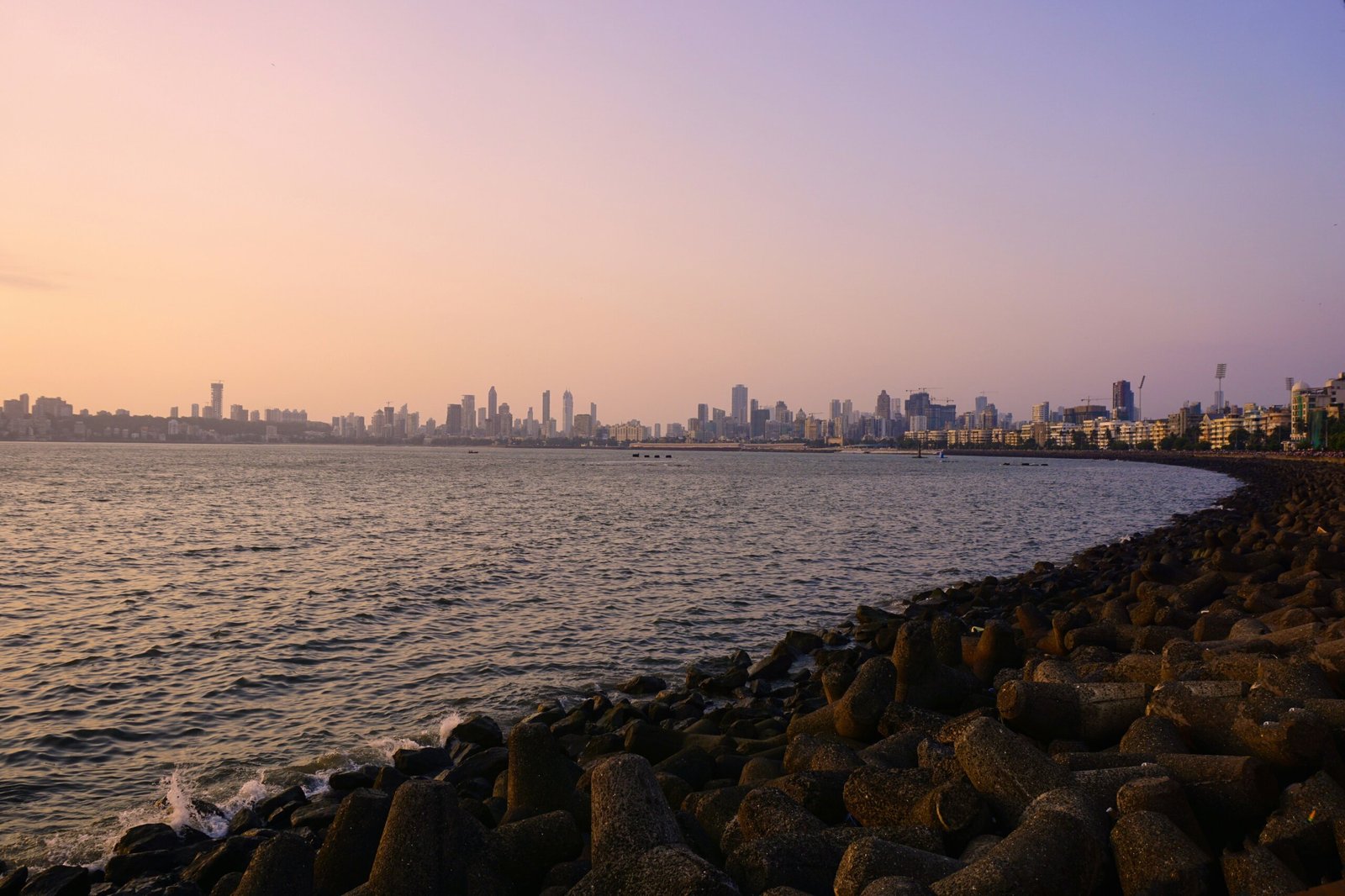 Mumbai Food Banner